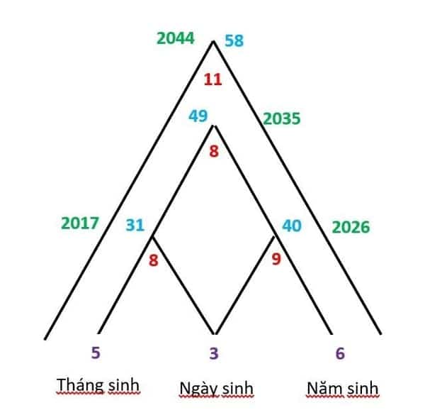 Điền ngày, tháng và năm sinh để vẽ chân đế của kim tự tháp Thần số học