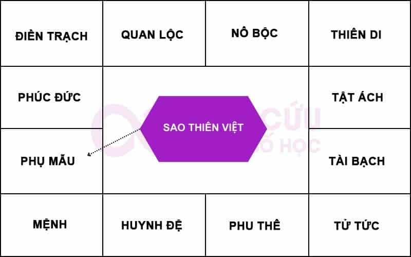 Sao Thiên Việt chiếu cung phu mẫu