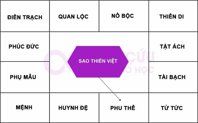 Sao Thiên Việt chiếu cung phu thê