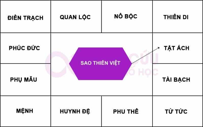 Sao Thiên Việt chiếu cung tật ách