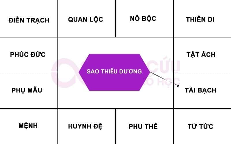 Sao Thiếu Dương chiếu cung tài bạch