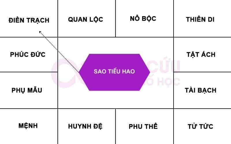 Sao Tiểu Hao chiếu cung Điền Trạch