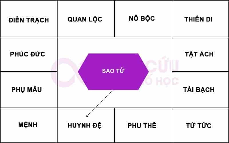 Sao Tử chiếu cung Huynh Đệ
