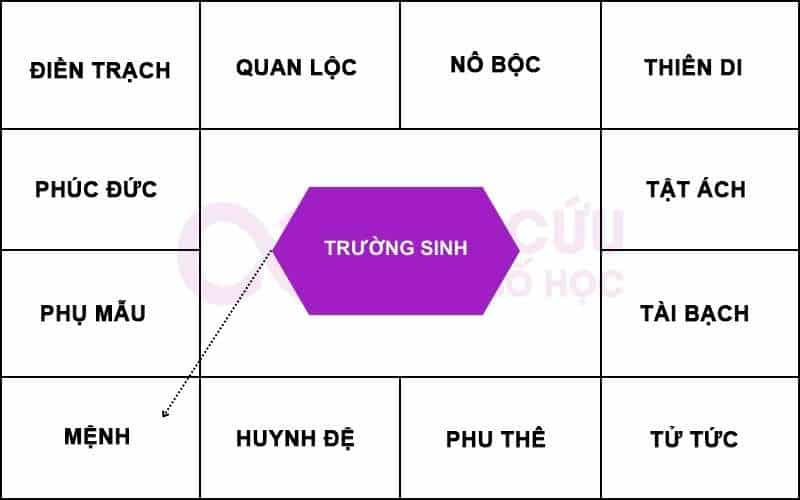 Trường Sinh chiếu cung Mệnh