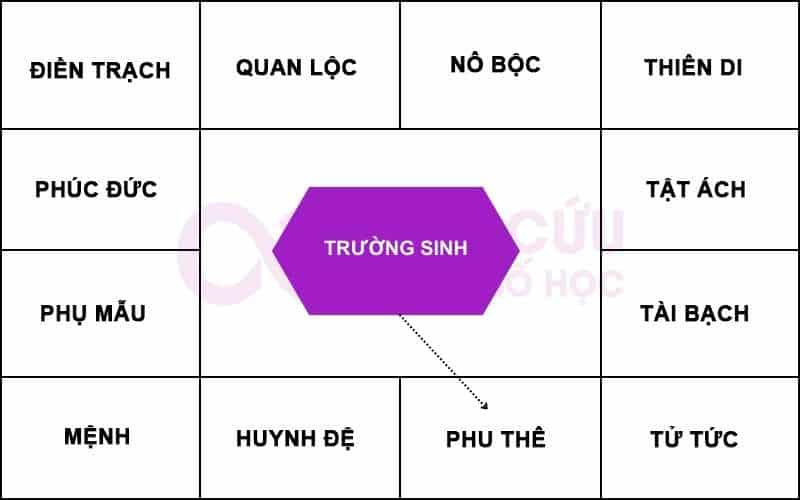 Trường Sinh chiếu cung Phu Thê