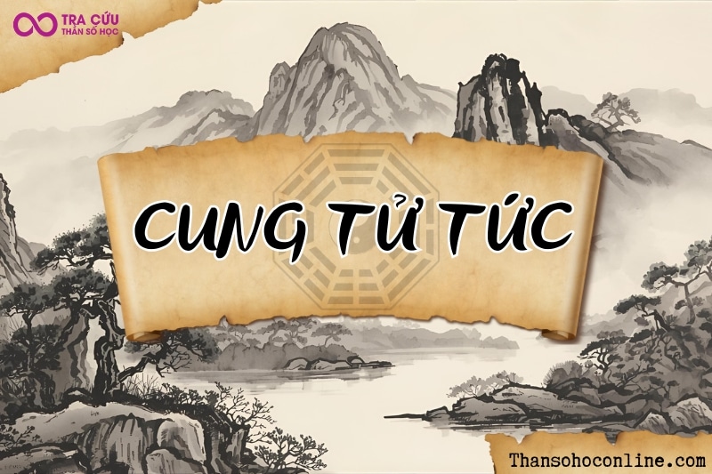Cung Tử Tức là gì? Ý nghĩa các sao khi an tại Tử Tức trong tử vi
