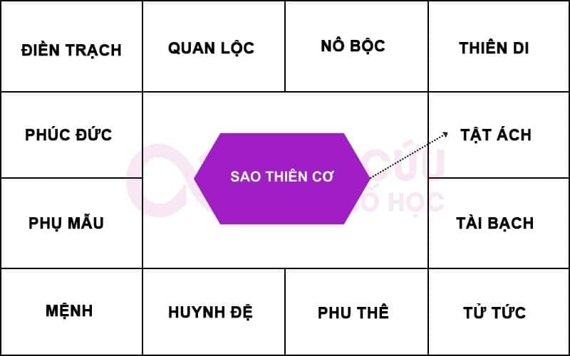 Sao Thiên Cơ chiếu cung Tật Ách