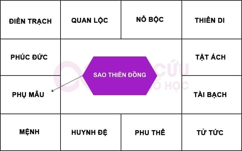 Sao Thiên Đồng ở Cung Phụ Mẫu