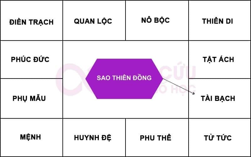 Sao Thiên Đồng ở Cung Tài Bạch