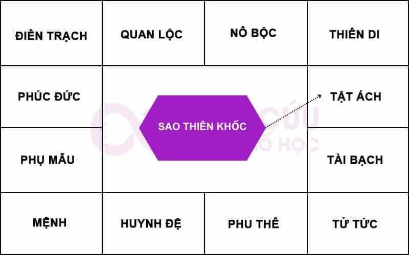 Sao Thiên Khốc chiếu tật ách