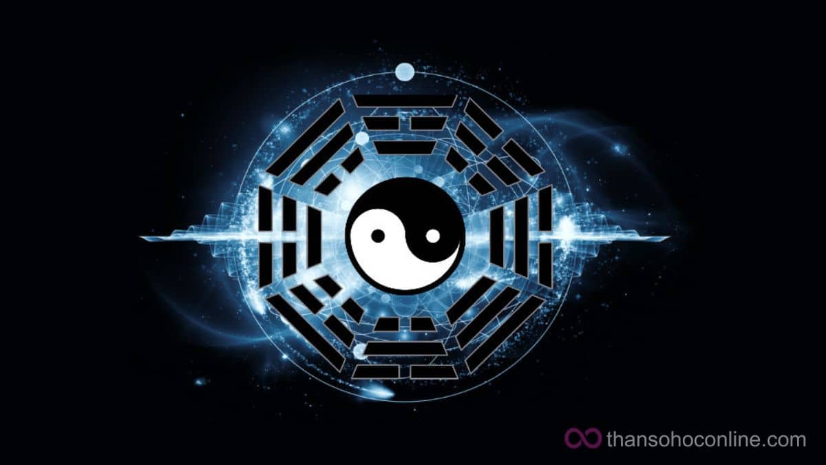 âm dương nghịch lý 2