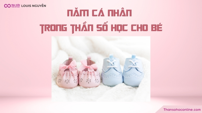Hành trình phát triển của con qua từng năm Hành trình phát triển của con qua từng năm