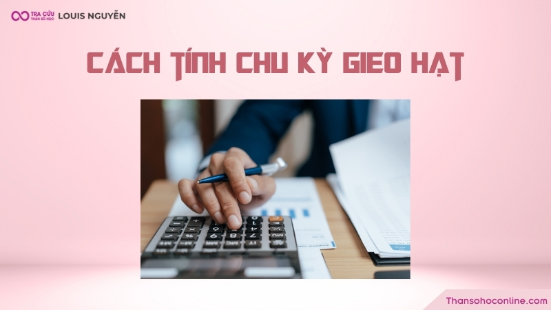 Chu kỳ gieo hạt thần số học bao gồm 2 yếu tố đó là con số ứng với chu kỳ đó và thời gian kéo dài của chu kỳ. Chu kỳ gieo hạt thần số học bao gồm 2 yếu tố đó là con số ứng với chu kỳ đó và thời gian kéo dài của chu kỳ.