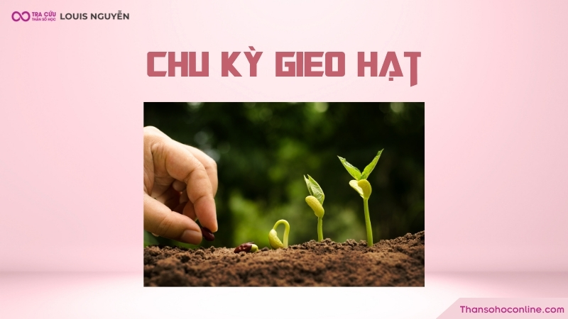 Chu kỳ gieo hạt thần số học là một trong 3 giai đoạn (gieo hạt, chín và thu hoạch) quan trọng của cuộc đời Chu kỳ gieo hạt thần số học là một trong 3 giai đoạn (gieo hạt, chín và thu hoạch) quan trọng của cuộc đời
