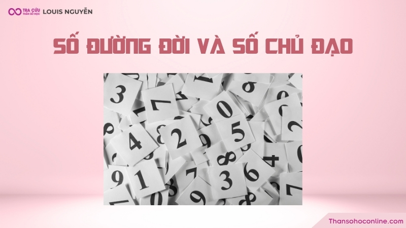 Con số đường đời và con số chủ đạo có giống nhau không? Con số đường đời và con số chủ đạo có giống nhau không?