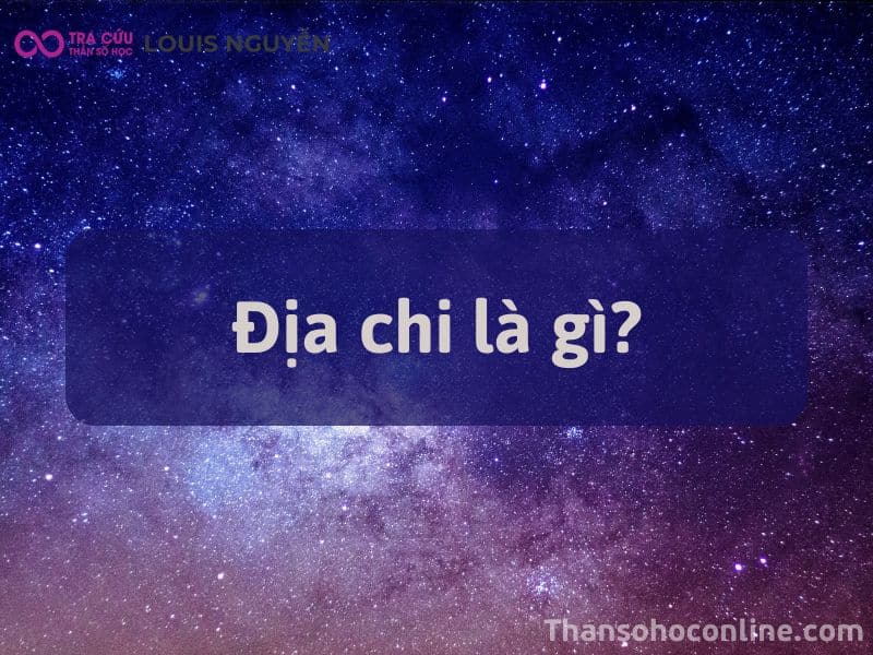 Địa Chi Là Gì? Cách Phân Chia Chi Tiết Về 12 Địa Chi