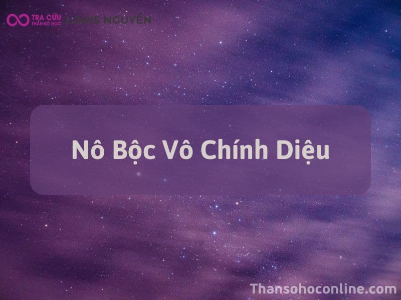 Nô Bộc Vô Chính Diệu: Bí Ẩn và Thách Thức