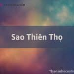 Sao Thiên Thọ Là Gì? Ý Nghĩa Tại 12 Cung Trong Tử Vi