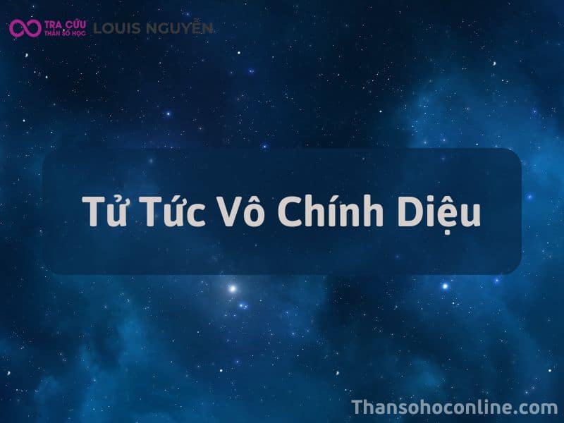 Tử Tức Vô Chính Diệu - Luận Giải Ý Nghĩa Các Cách Cục