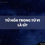 Tứ Hóa Trong Tử Vi Là Gì? Luận Đoán Về Tứ Hóa chi tiết