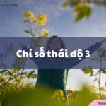 Chỉ số thái độ 3 là gì? Ý nghĩa, đặc điểm như thế nào?