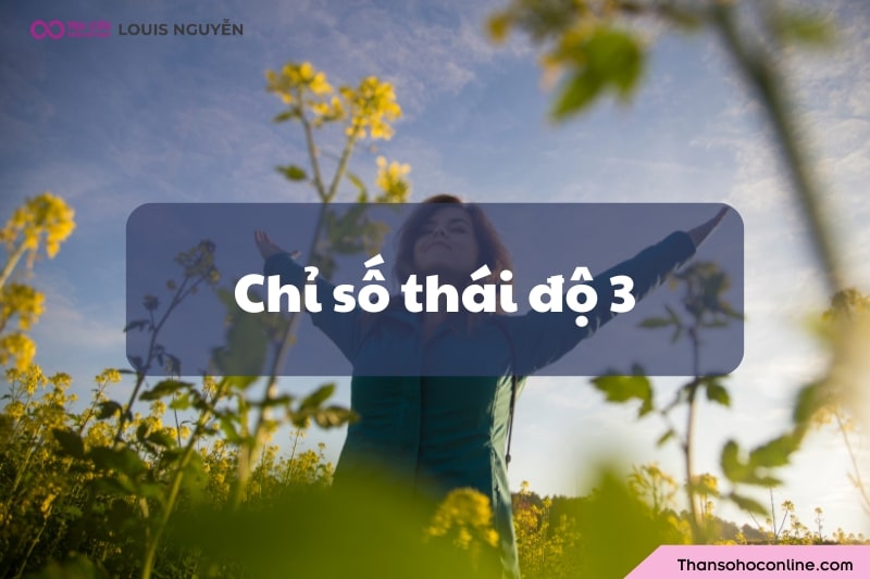 Chỉ số thái độ 3 là gì? Ý nghĩa, đặc điểm như thế nào?