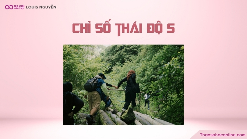 Chỉ số thái độ 5 là gì? Ý nghĩa, đặc điểm như thế nào?