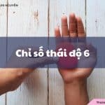 Chỉ số thái độ 6 là gì? Ý nghĩa, đặc điểm như thế nào?