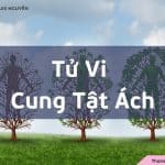 Tử Vi cung Tật Ách là gì? Ý nghĩa khi kết hợp cùng các sao khác