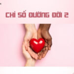 Chỉ số đường đời 2 là gì? Đặc điểm tính cách và định hướng công việc số chủ đạo 2