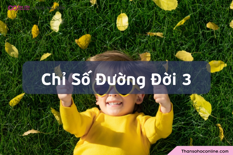 Chỉ số đường đời 3 là gì? Đặc điểm tính cách và định hướng công việc số chủ đạo 3