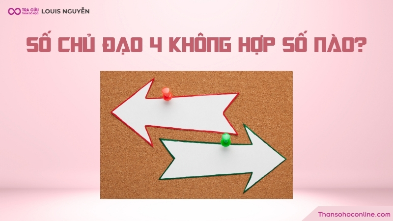 Chỉ số đường đời 4 không hợp với số nào? Chỉ số đường đời 4 không hợp với số nào?