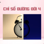 Chỉ số đường đời 4 là gì? Đặc điểm tính cách và định hướng công việc số chủ đạo 4