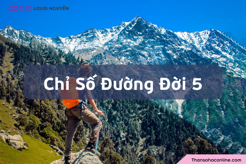 Chỉ số đường đời 5 là gì? Đặc điểm tính cách và định hướng công việc số chủ đạo 5