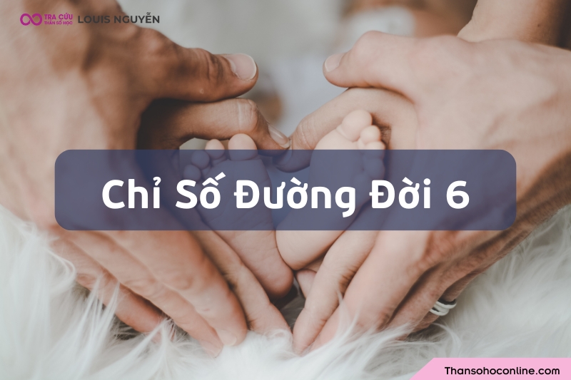 Chỉ số đường đời 6 là gì? Đặc điểm tính cách và định hướng công việc số chủ đạo 6