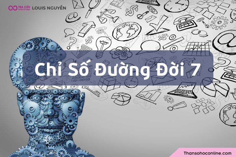 Chỉ số đường đời 7 là gì? Đặc điểm tính cách và định hướng công việc số chủ đạo 7