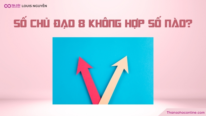 Chỉ số đường đời 8 không hợp với số nào? Chỉ số đường đời 8 không hợp với số nào?
