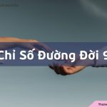 Chỉ số đường đời 9 là gì? Đặc điểm tính cách và định hướng công việc số chủ đạo 9