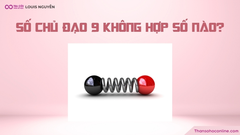 Chỉ số đường đời 9 không hợp với số nào? Chỉ số đường đời 9 không hợp với số nào?