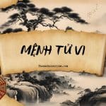 Mệnh Tử Vi là gì? Luận giải ý nghĩa Tử Vi cung Mệnh khi kết hợp với các sao khác