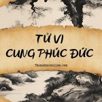 Tử Vi cung Phúc Đức là gì? Luận giải ý nghĩa khi kết hợp với các sao trên lá số