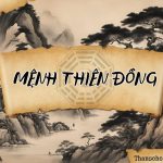 Mệnh Thiên Đồng là gì? Luận giải ý nghĩa Thiên Đồng cung Mệnh khi kết hợp với các sao khác
