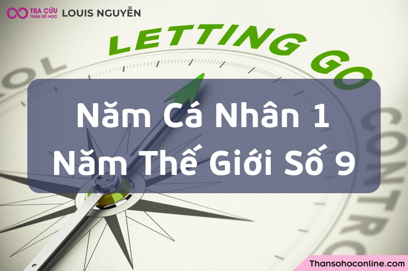 Năm cá nhân 1 trong năm thế giới 9 là lúc chuẩn bị khởi đầu bằng cách buông bỏ cái cũ. Năm cá nhân 1 trong năm thế giới 9 là lúc chuẩn bị khởi đầu bằng cách buông bỏ cái cũ.