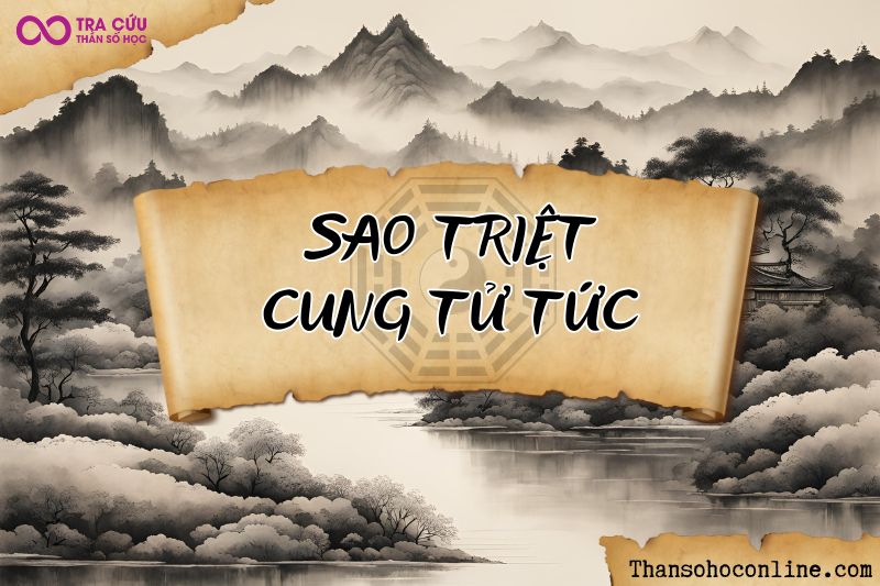 Sao Triệt cung Tử Tức chủ về đương số có con, sinh con hoặc gặp vấn đề về nuôi dưỡng con cái Sao Triệt cung Tử Tức chủ về đương số có con, sinh con hoặc gặp vấn đề về nuôi dưỡng con cái