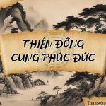 Thiên Đồng cung Phúc Đức là gì? Luận giải ý nghĩa khi kết hợp với các sao khác
